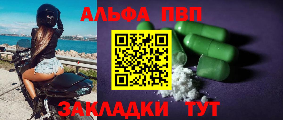 Alfa_PVP СК Великий Новгород