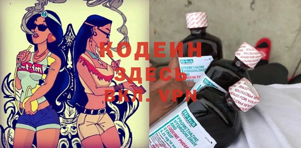 прущая мука Корсаков