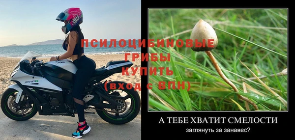 Альфа ПВП Коряжма