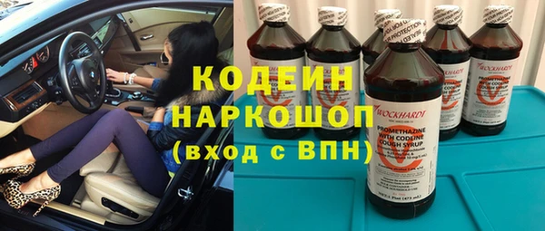 прущая мука Корсаков