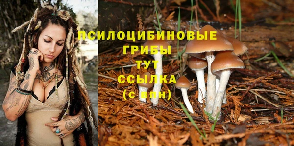 mdma Костерёво