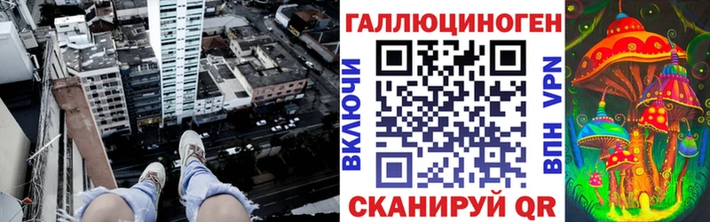 Псилоцибиновые грибы прущие грибы  Великий Новгород 