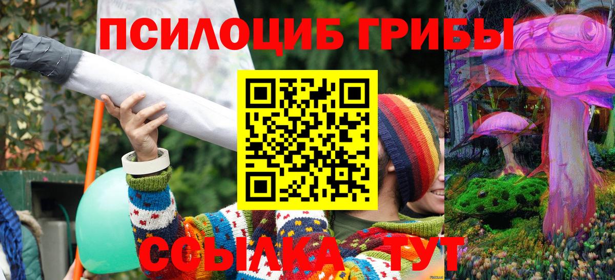 Галлюциногенные грибы Magic Shrooms  Великий Новгород 