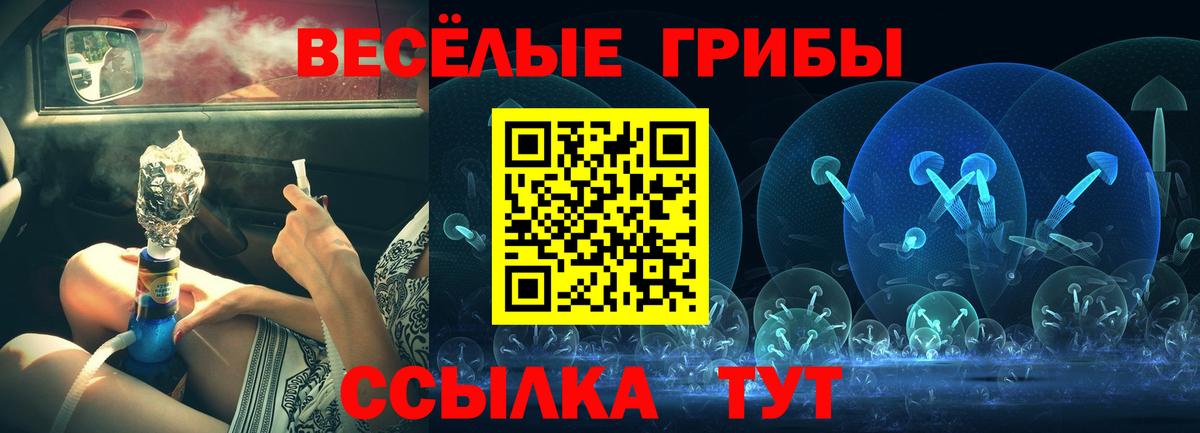 Великий Новгород  Псилоцибиновые грибы мицелий  где купить наркотик  Вход с VPN  Псилоцибиновые грибы Psilocybe 