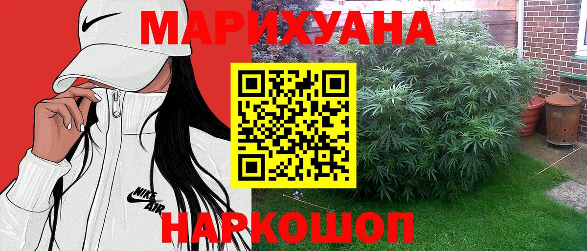 Конопля конопля Великий Новгород